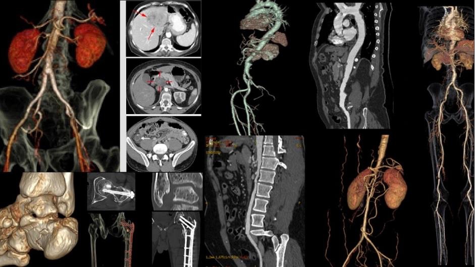 2 nghiên cứu từ Bernard được đánh giá cao tại Hội nghị Ningen Dock Nhật Bản- Ảnh 1.