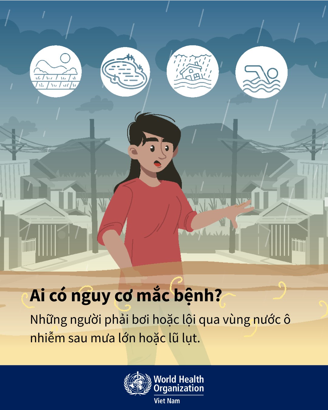 Cẩn trọng với bệnh xoắn khuẩn vàng da mùa lũ- Ảnh 2.