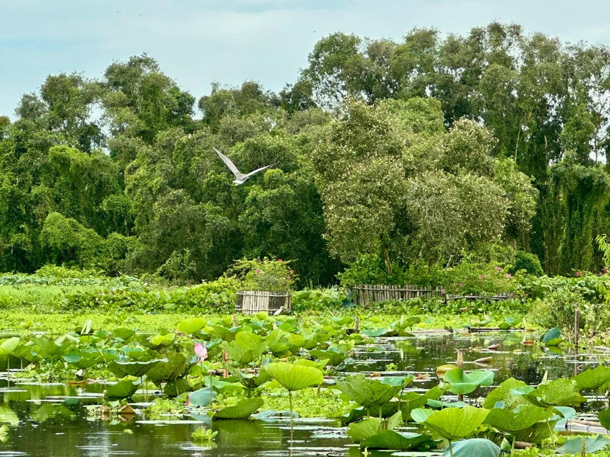 An Giang: điểm hẹn tâm linh và sinh thái của Đồng bằng sông Cửu Long- Ảnh 5.