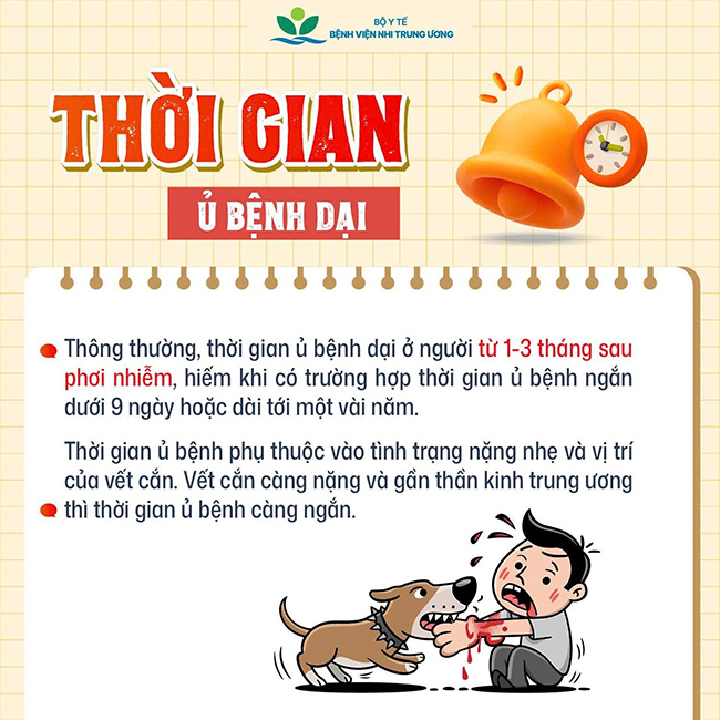 Vaccine phòng bệnh dại không gây hại- Ảnh 3.
