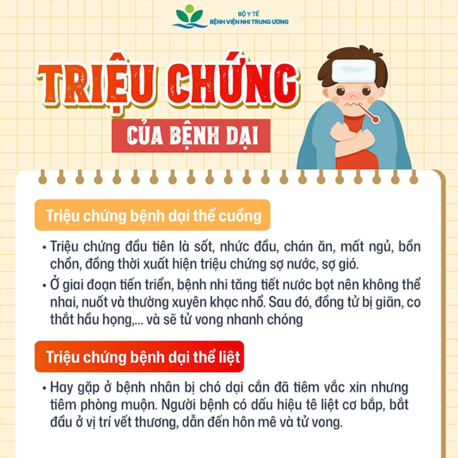 Vaccine phòng bệnh dại không gây hại- Ảnh 2.