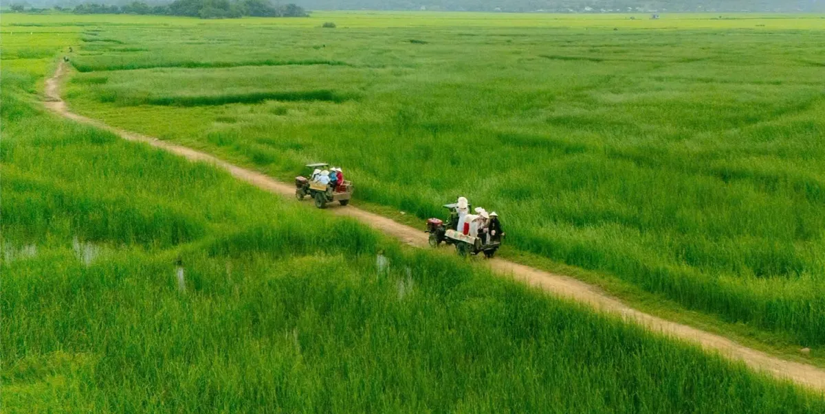 Đắk Lắk: Xây dựng thương hiệu du lịch xanh - Ảnh 4.