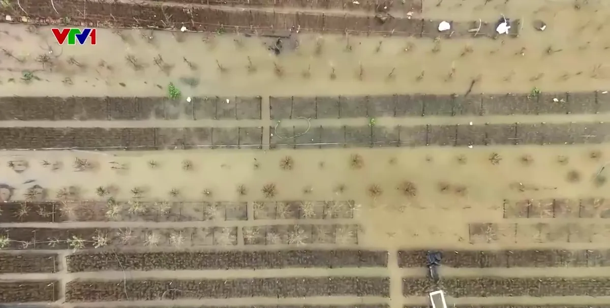 Thiếu kịch bản ứng phó thiên tai theo từng cấp độ - Ảnh 2.