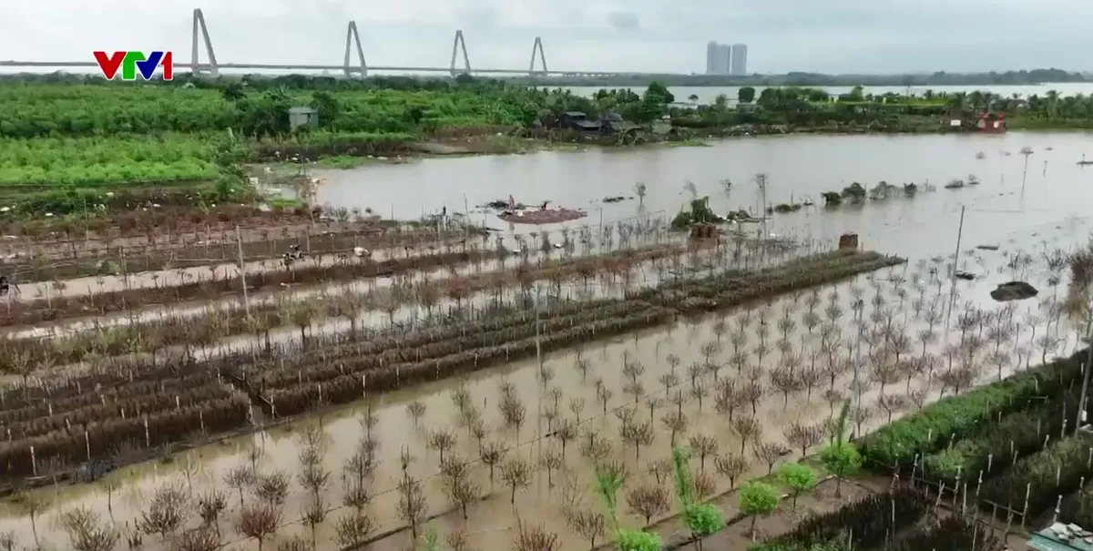 Thiếu kịch bản ứng phó thiên tai theo từng cấp độ - Ảnh 1.