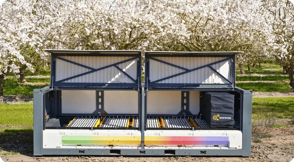 Tổ ong robot sử dụng AI ứng phó biến đổi khí hậu - Ảnh 1.